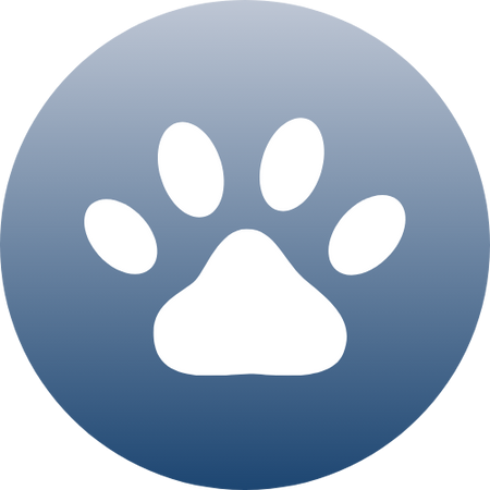 Pets